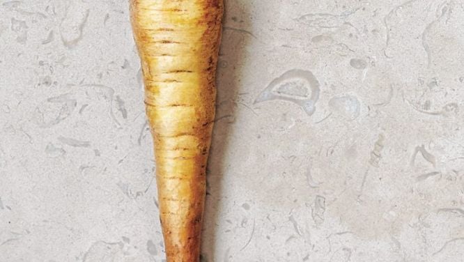 Parsnips