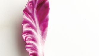 Red cabbage