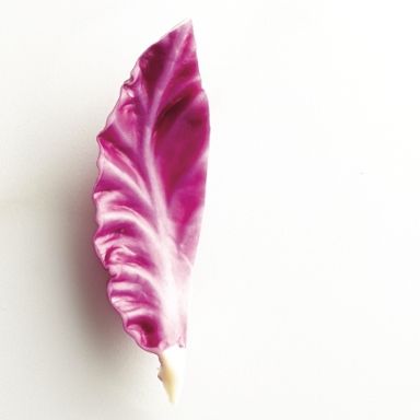 Red cabbage