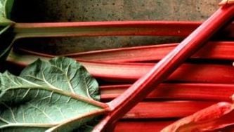 Two ways to cook with rhubarb