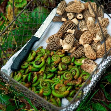 5 spring veggies to try while they're still in season