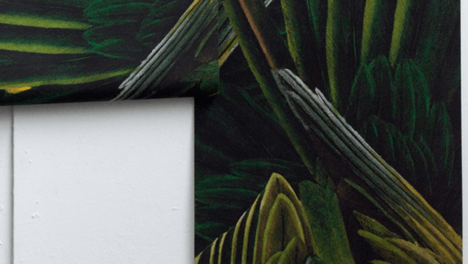 Introducing a new Canadian wallpaper company