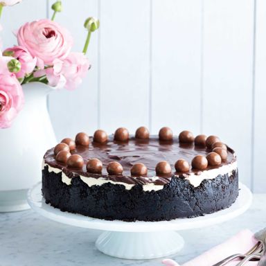 Mocha Ice Cream Cake