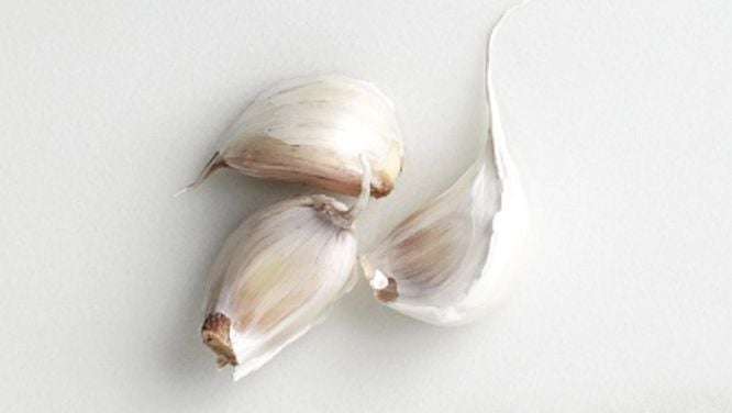 Garlic