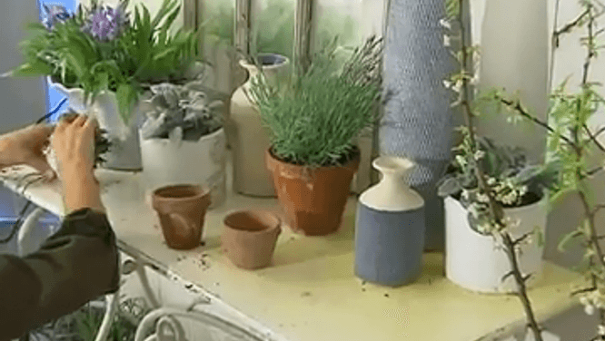 How to get a cottage look in your home