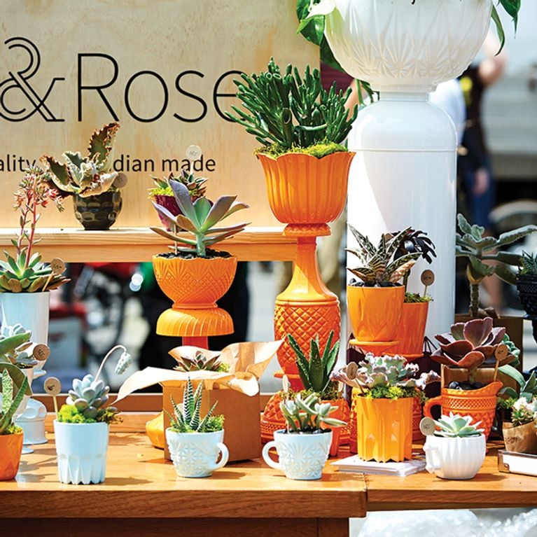 Planters at Carl and Rose stall vintage glass Toronto Flower Market