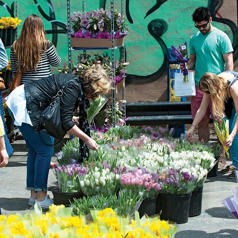 Toronto Flower Market