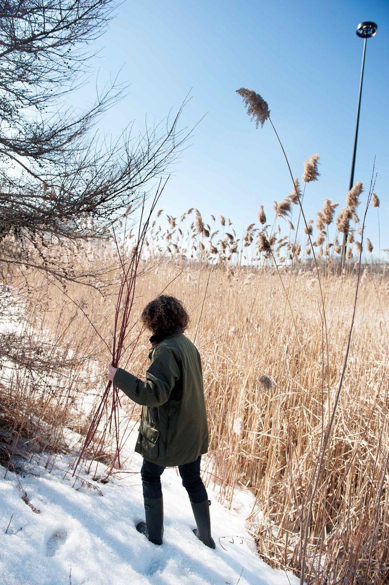 a woman holding a bundle of red sticks next to a winter field for a piece on making a foraged wreath