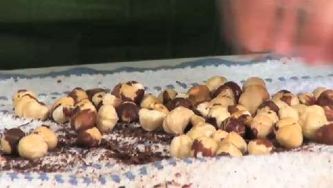 Easiest way to peel hazelnuts