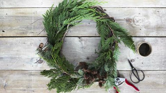 How to assemble an evergreen wreath