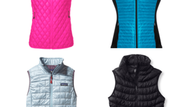 The easiest way to stay warm: Put a vest on it