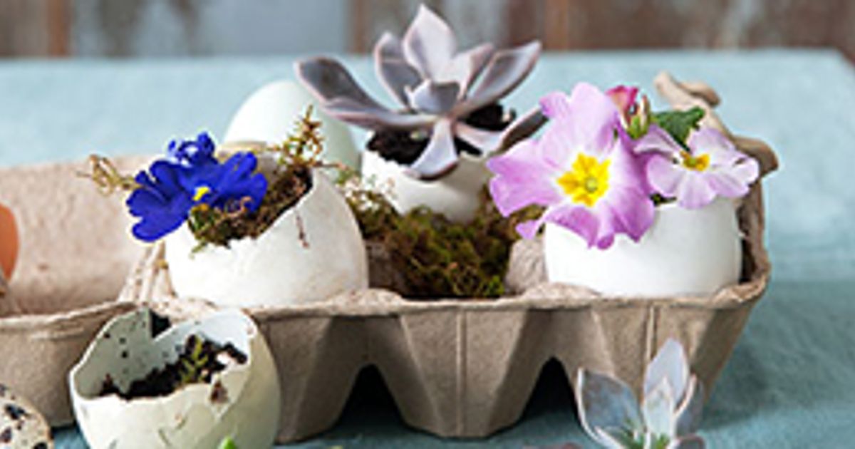 Spring crafts How to make the perfect mini eggshellgarden Chatelaine