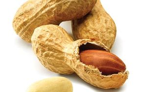 Can yogurt cure peanut allergies?