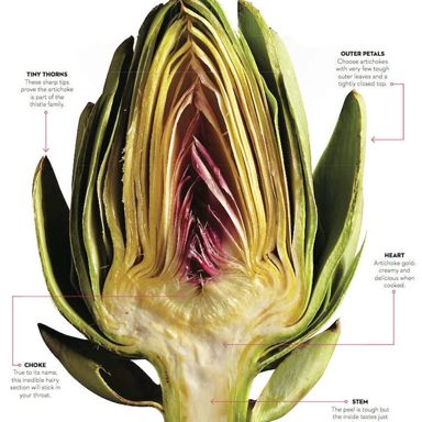 How to eat an artichoke