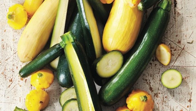 5 things you didn't know about zucchini