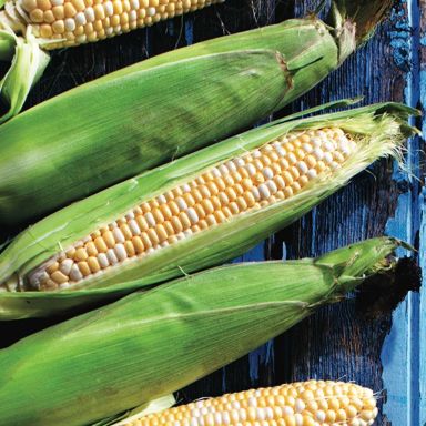 Masala corn