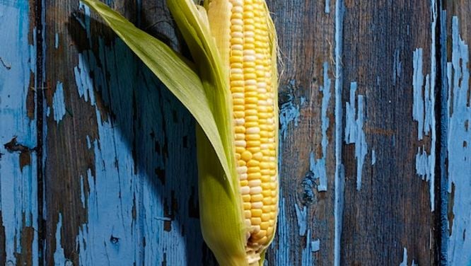 Creamed corn