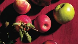 Apple-mostarda