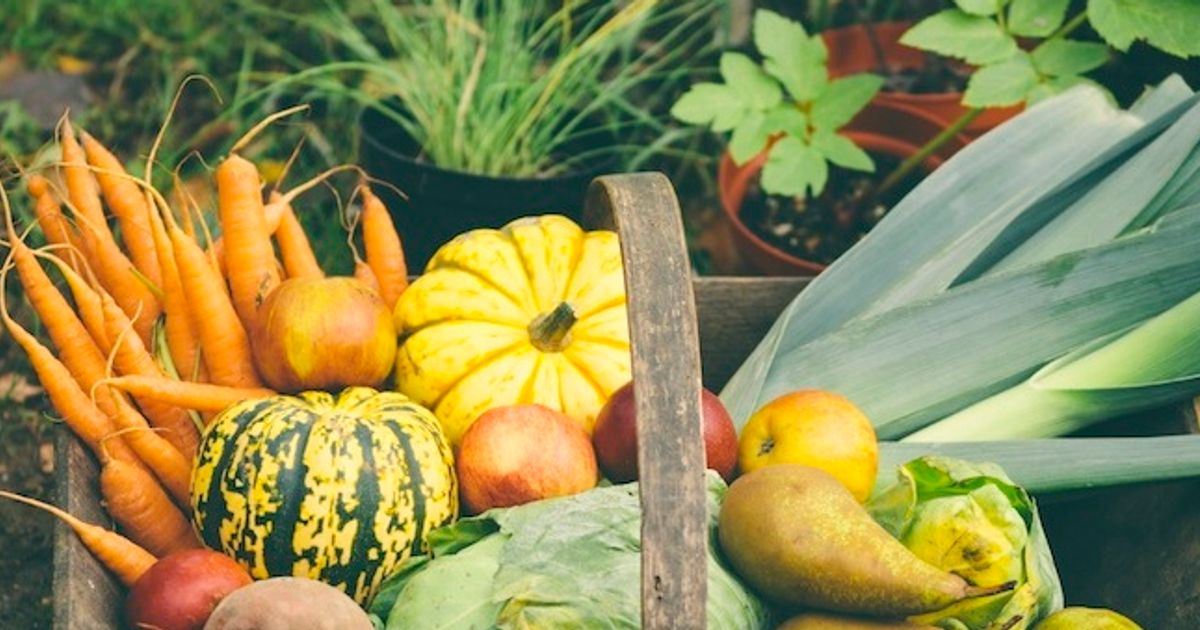 Produce Guide Fall Fruits and Vegetables Chatelaine