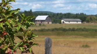 What the Renfrew County murders tell us about rural violence