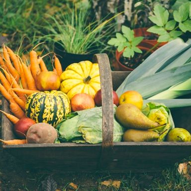 Your fall produce guide