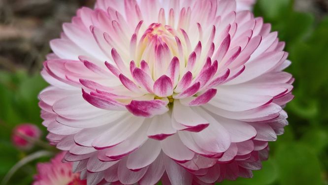 5 Things To Do Now To Prep Your Garden For Next Spring