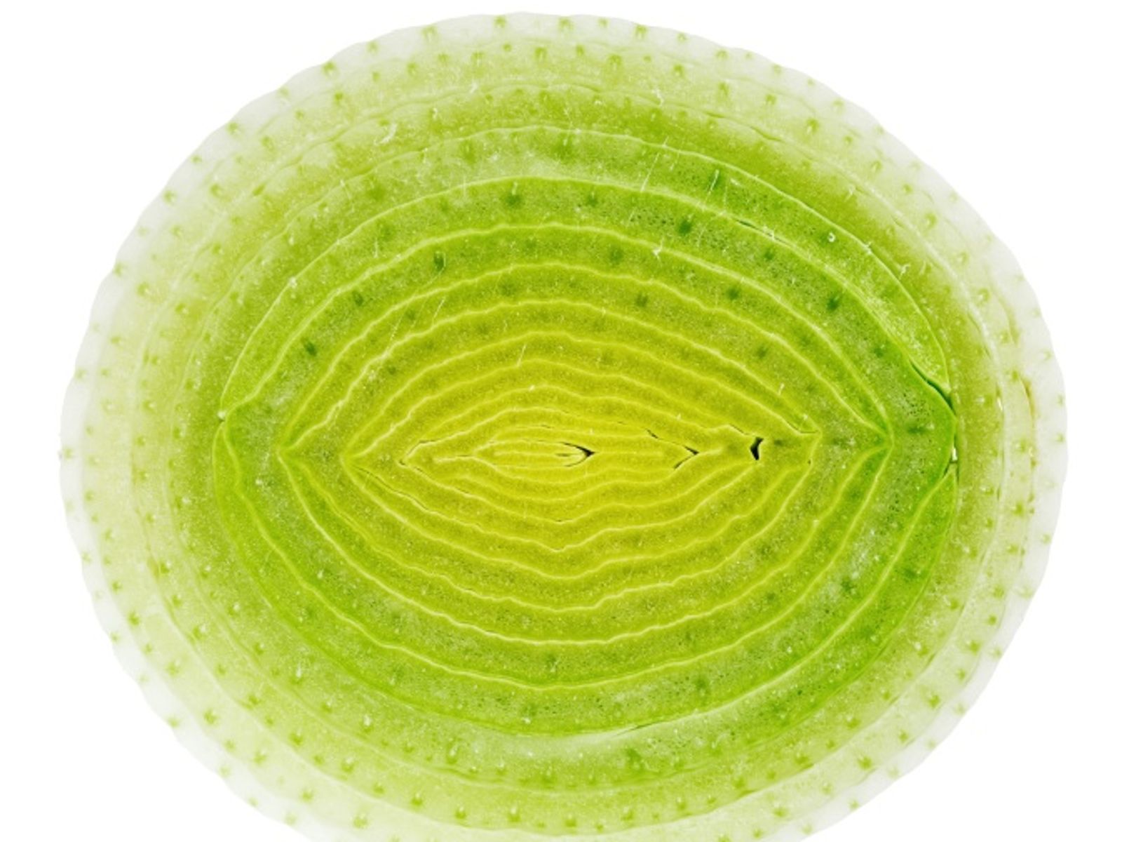The easiest way to clean leeks - Chatelaine