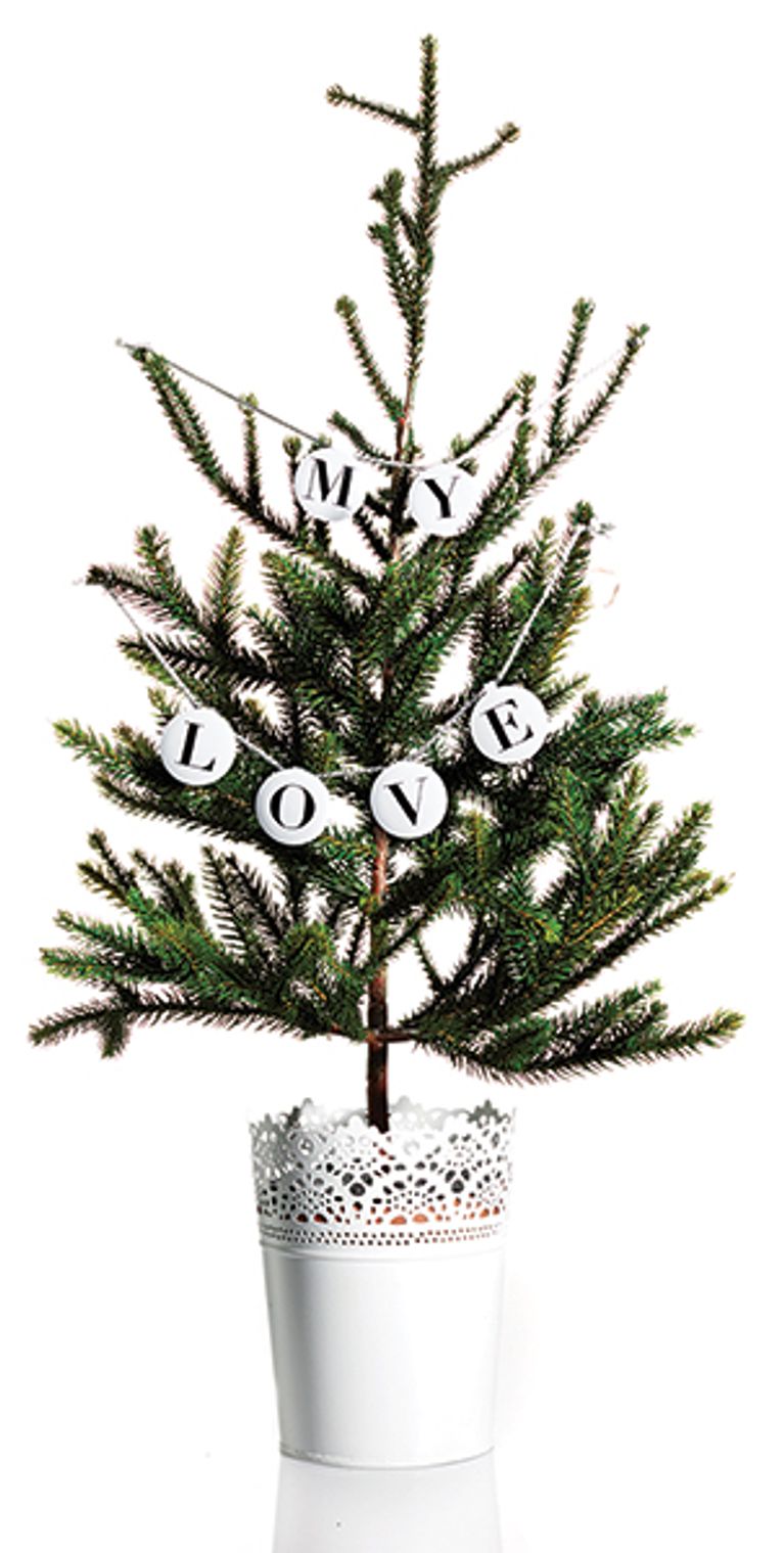 10 decorative alternatives to Christmas trees