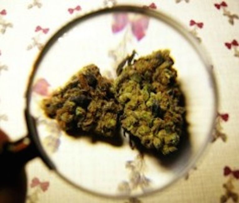 Is Marijuana The New Mother's Little Helper? Parents Who Smoke Pot