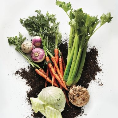 9 completely underrated vegetables to start using right away