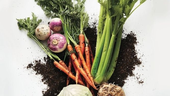 9 completely underrated vegetables to start using right away