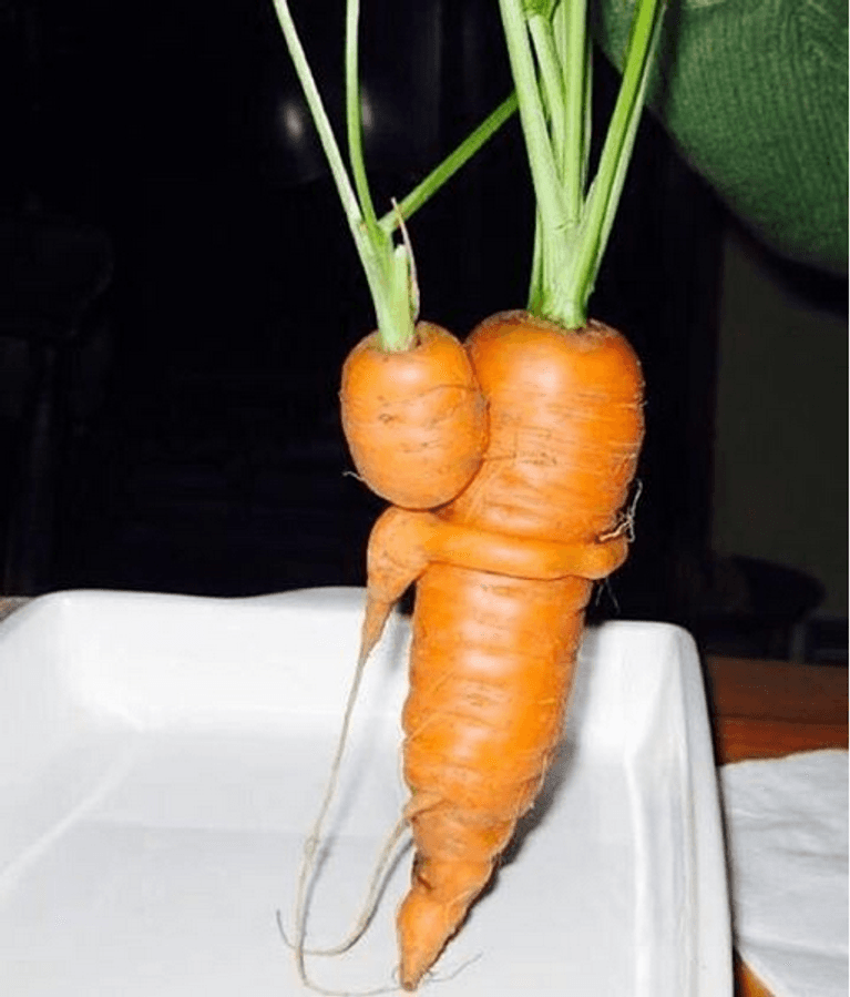 Good gourd! Produce so ugly it's beautiful