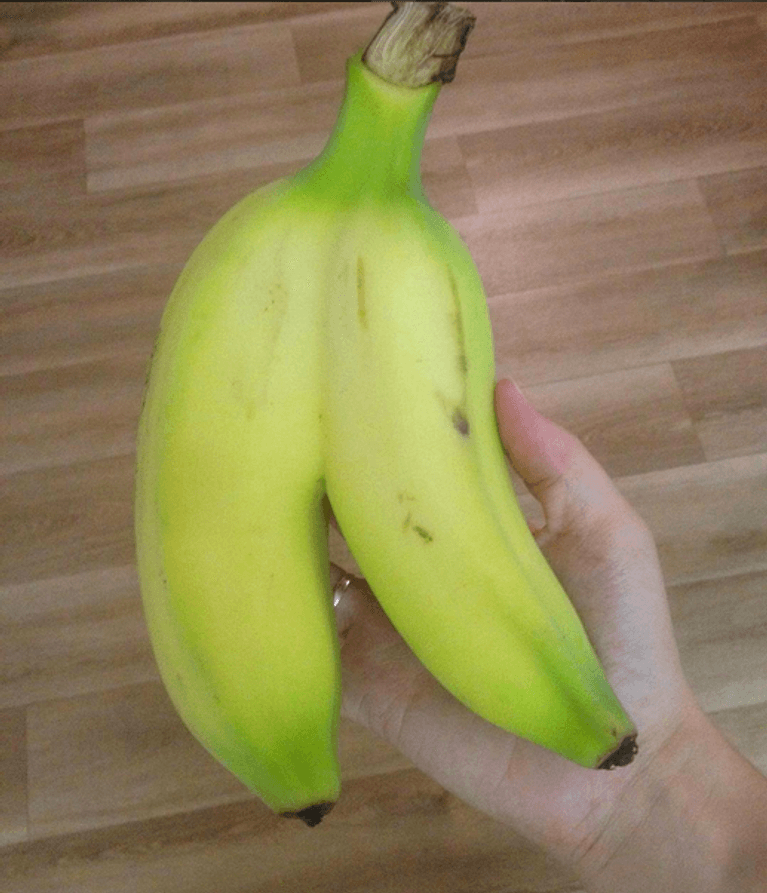 Good gourd! Produce so ugly it's beautiful