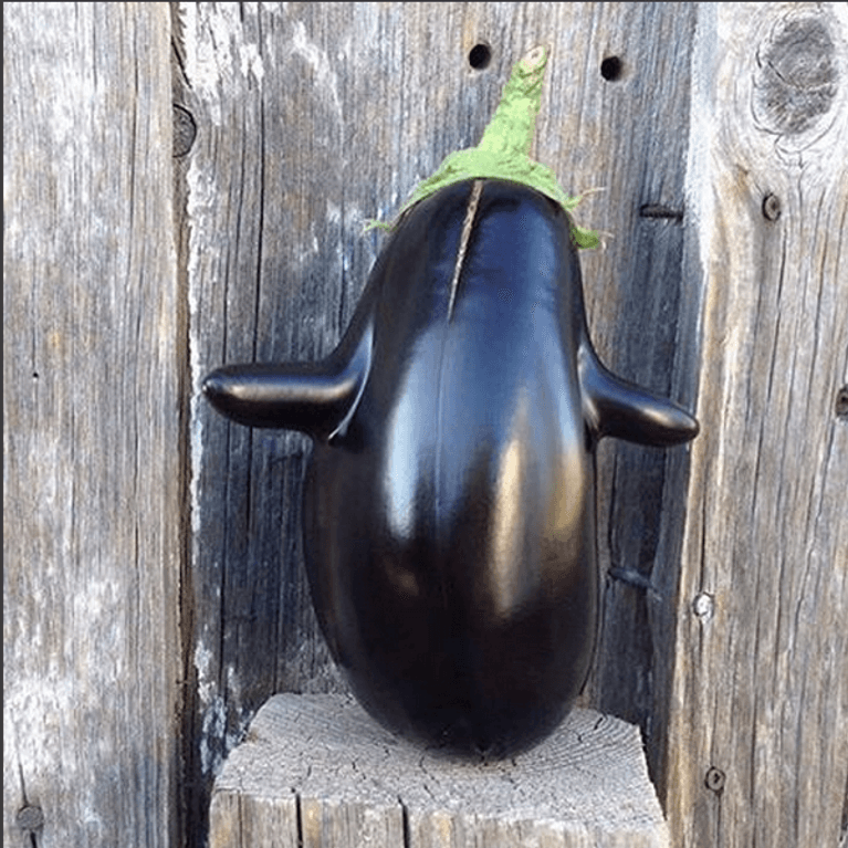 Good gourd! Produce so ugly it's beautiful