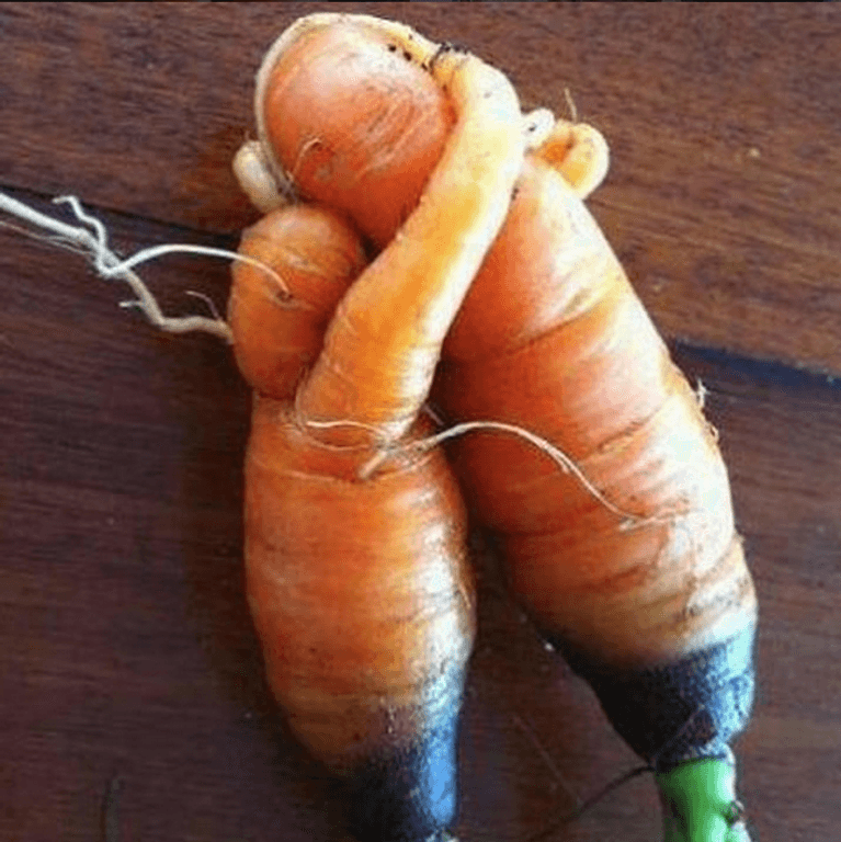 Good gourd! Produce so ugly it's beautiful