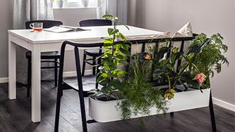 5 surprising ways to refresh your indoor decor with plants