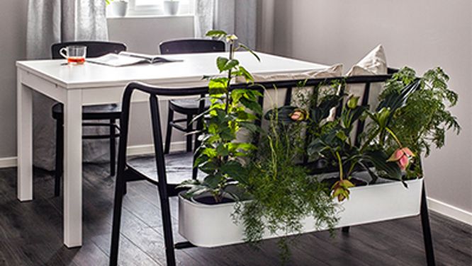 5 surprising ways to refresh your indoor decor with plants