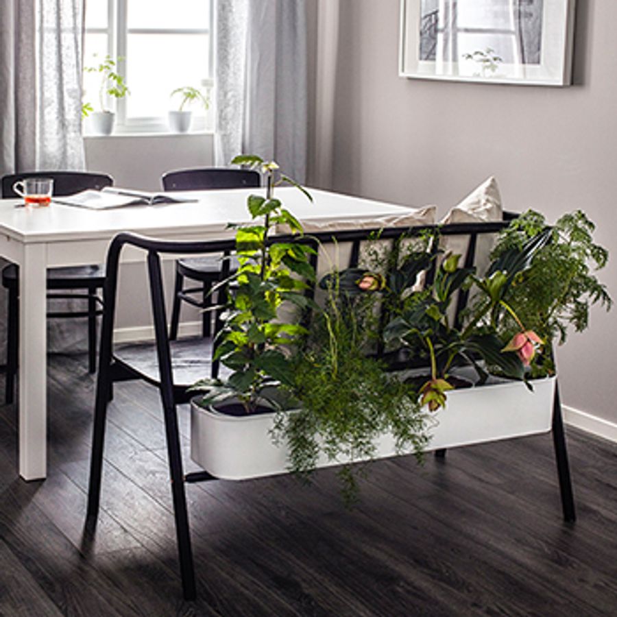 5 surprising ways to refresh your indoor decor with plants - Chatelaine