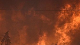 How did Fort McMurray get out alive?