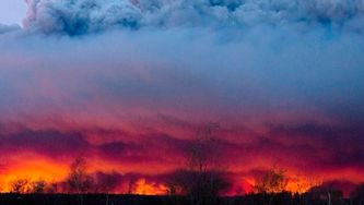 How you can help those affected by the Fort McMurray fire