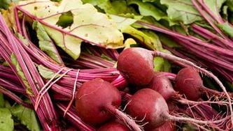Beet tartare