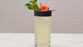 Chatelaine Quenchers: Spicy mojito