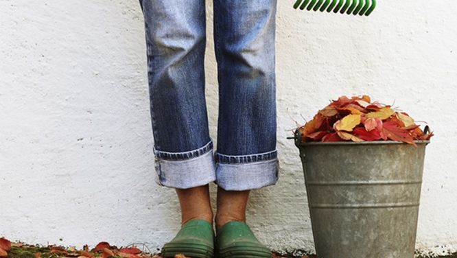 8 Attractive Plants For A Beautiful Fall Garden
