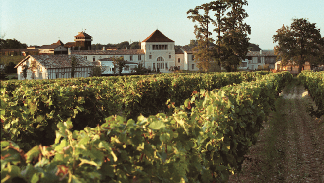 The anti-aging skincare line derived from wine grapes