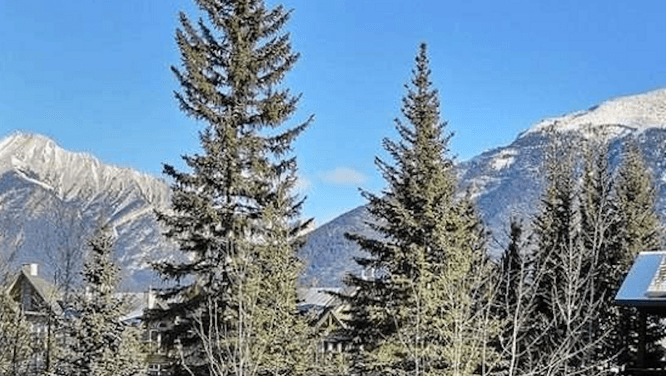 Property Snoop: What $540,000 buys across Canada this week
