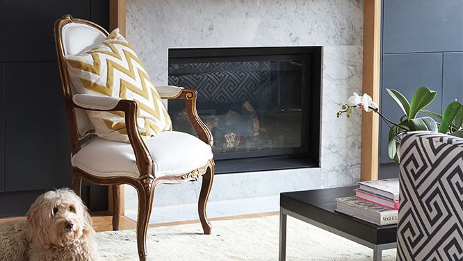 10 pets lounging in beautiful interiors that will give you the warm fuzzies