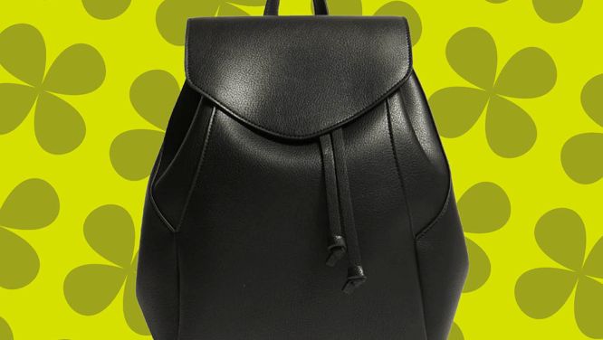 25 Handbags Under $100 That Look Expensive AF