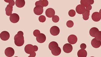 A grown-up guide to acne: All your questions answered