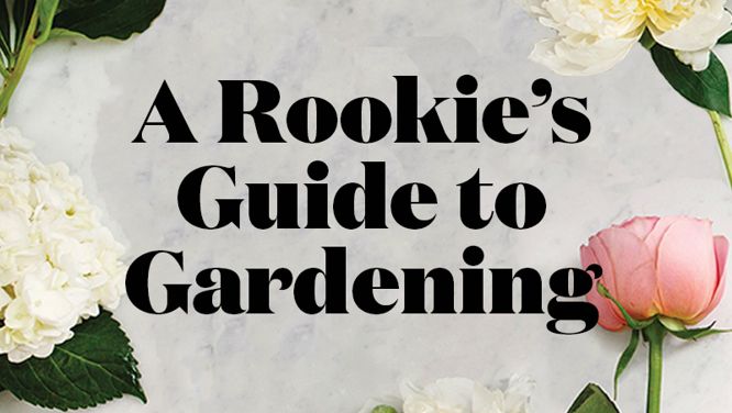 All your gardening questions covered: Tips and tricks to get the garden of your dreams blooming