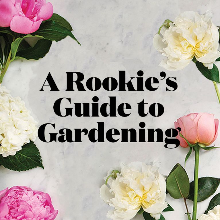 How to garden